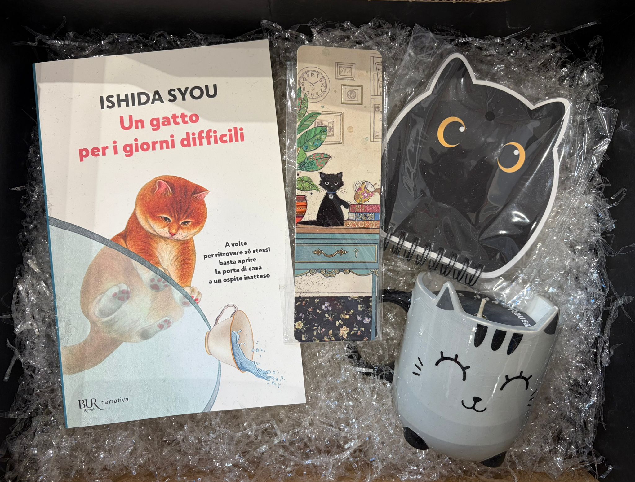 Un gatto per i giorni difficili - Gift Box